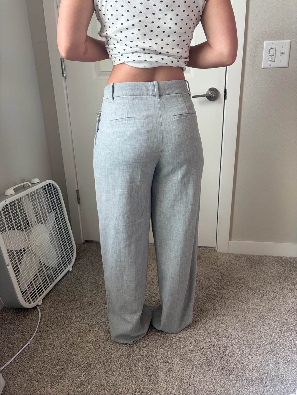 Aritzia Light Gray Wide-Leg Trousers